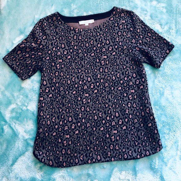 LOFT Tops - LOFT | Leopard Print Short Sleeve Knit Sweatshirt
